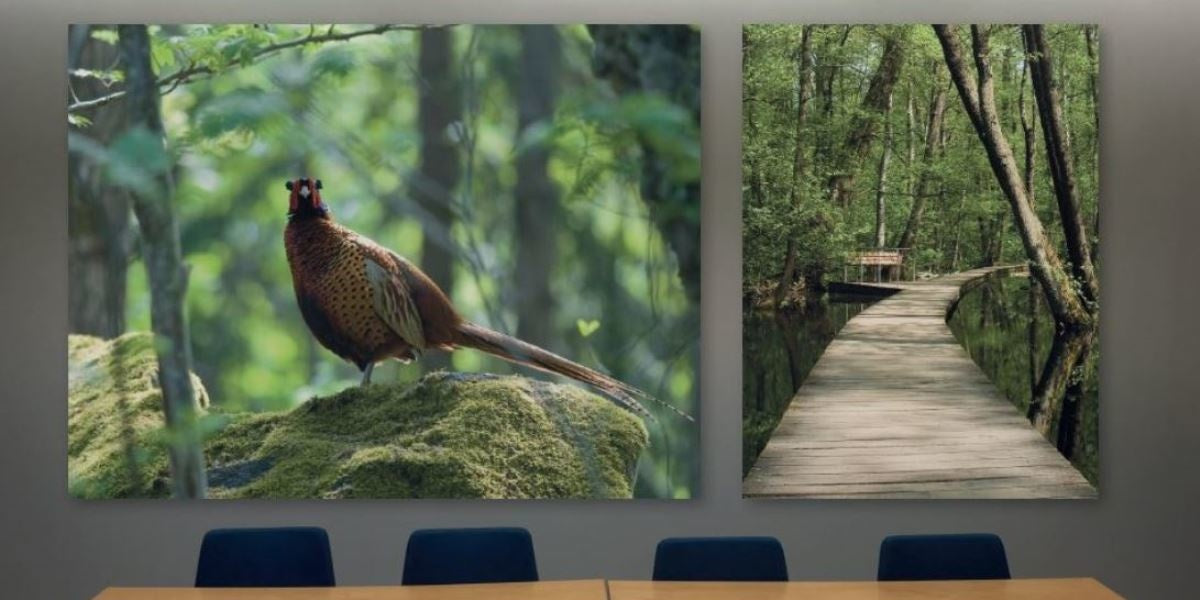 Ljudabsorbent, vägg, motiv, Offix